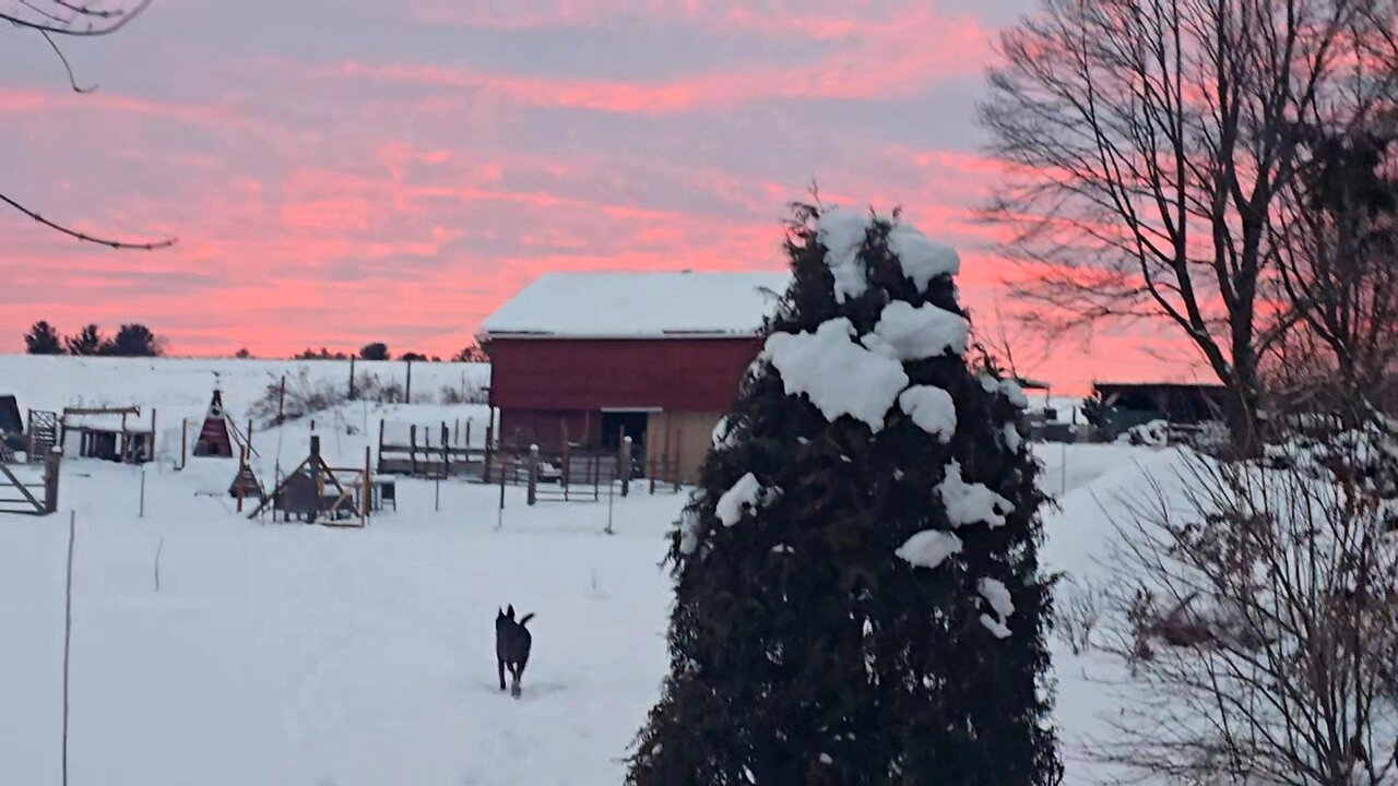 Adding BARN STORAGE! _ Just The Beginnning // Whitt Acres