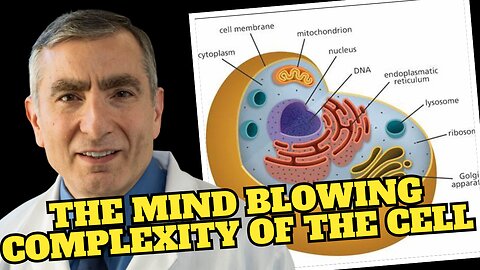 The Mind-Blowing Complexity of The Cell | Where Did the Information Come From?