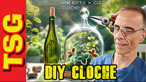 Turn Old Wine Bottles into Garden Gold!