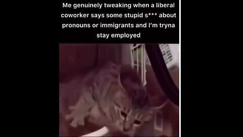 The Tunnell Take Why am I self employed? I planned it that way. Don't sale your soul for $.