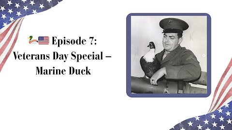 🦆🇺🇸 Episode 7: Veterans Day Special – Marine Duck