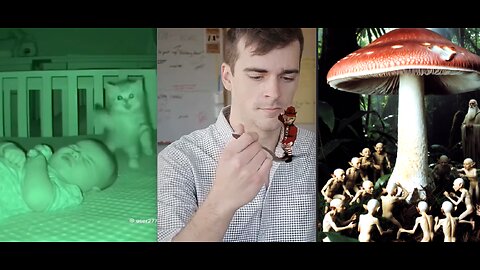 THEY HID THE TRUTH OF THE LITTLE PEOPLE! MUSHROOMS UNCOVER THE REALITY OF OUR MYTHS!