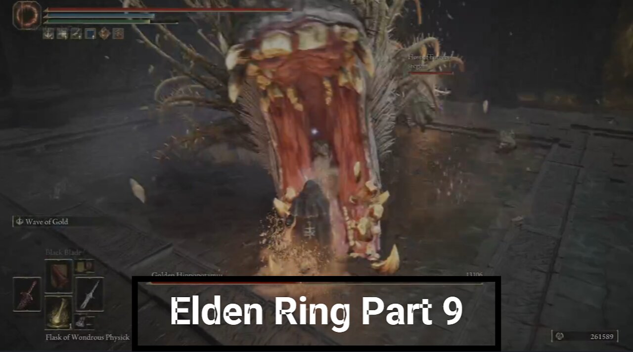 Elden Ring Part 9