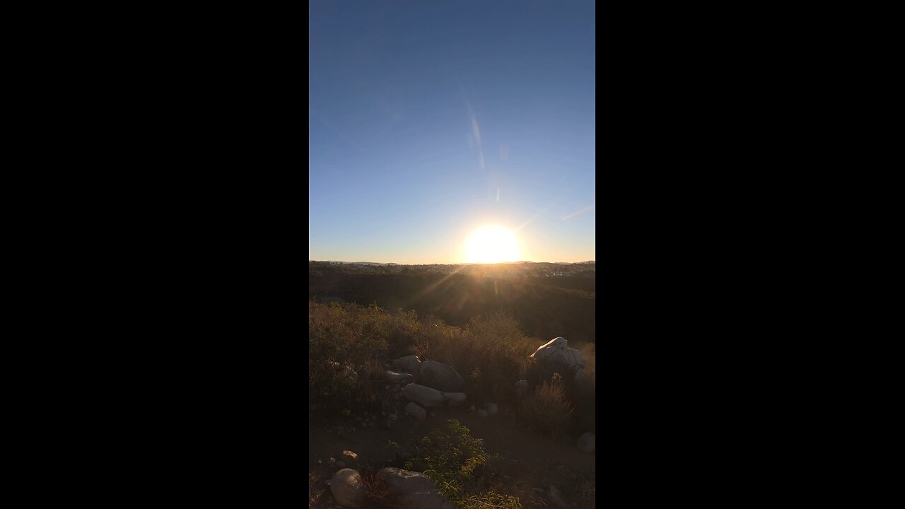 Chase the #Sunrise with Freedom on his #Morning #Run 🐕 🏃