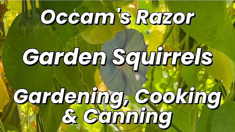 Squirrel! - June 6, 2025