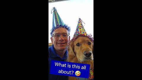 What is this all about?