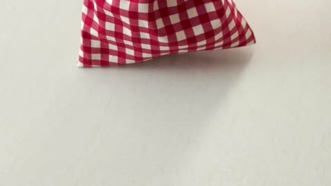 Gift Pouch🎄💰✨ | DIY | Quick Sewing Tips No.341