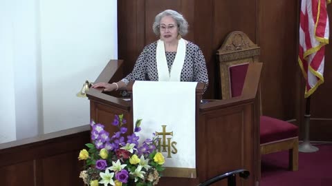 2025-05-18 - Romans 5:1 - 5 - Squirrel Crossing a Busy Road