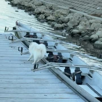 Gastoz i Andjela - Snupi - Lilica - 13.11.2025