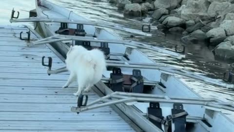 Gastoz i Andjela - Snupi - Lilica - 13.11.2025