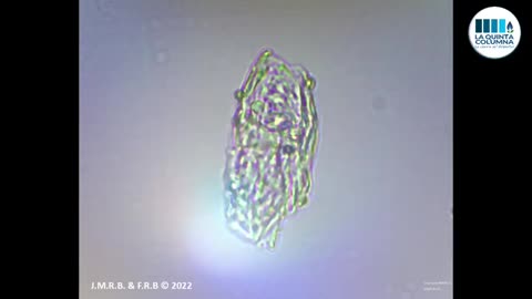 Graphene Nanostructures in Heparin Analyzing potential Anticoagulation Effects