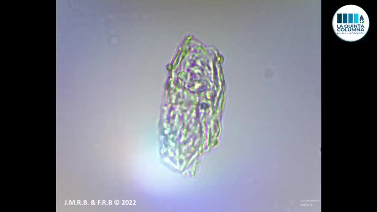 Graphene Nanostructures in Heparin Analyzing potential Anticoagulation Effects