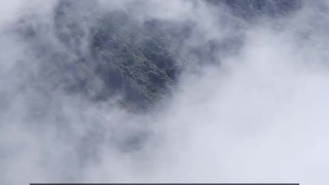 Daily Horoscope | Capricorn 🌟