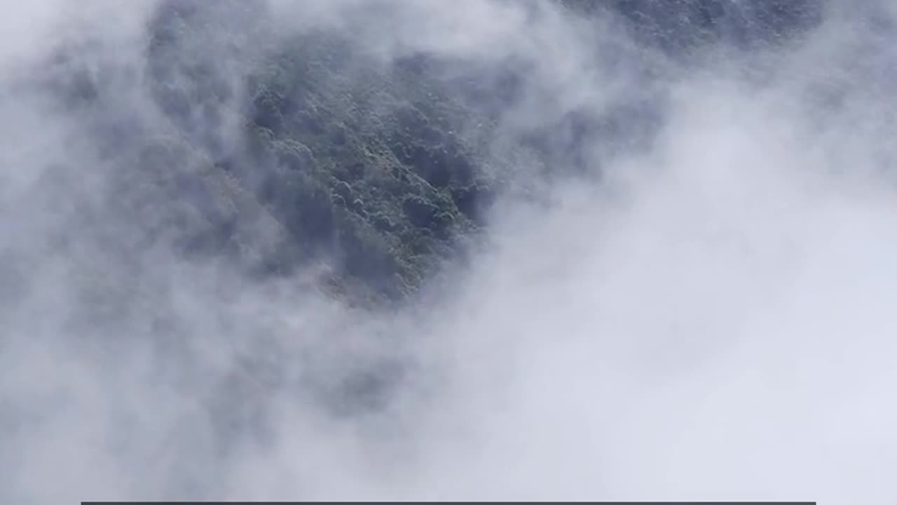 Daily Horoscope | Capricorn 🌟