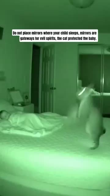 The cat is protecting the baby.