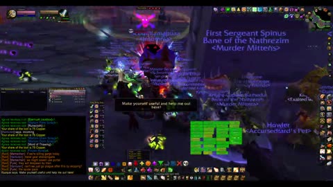 Turtle Wow - MM weekly Naxx - 8 January - Paladin