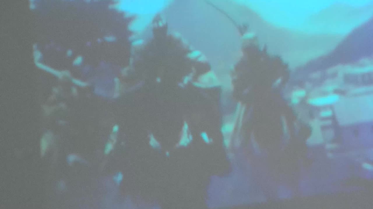 Islamisaatio - taistelu Islamisaatiota vastaan