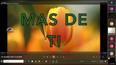 En ViVo
