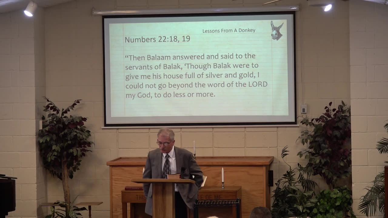 Two Donkeys | Bill Nixon | November 22, 2025