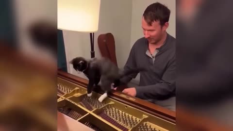 Best of ANIMALS videos 😂 ｜ Funniest Cats and Dogs 2025 🐶😼