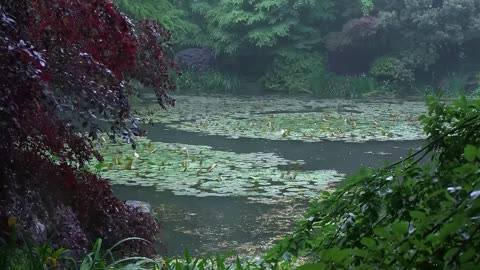 The beautiful little lake is raining