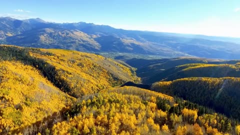 Chill R&B Mood for Everyday Life