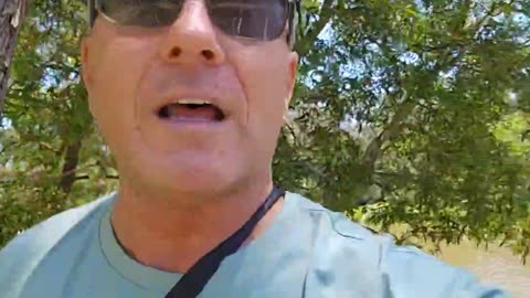 Australien - Politiker sind NICHT Dumm❗Sie wissen genau was sie machen❗