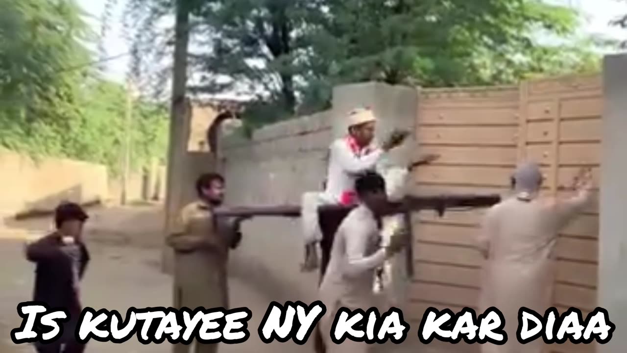 Is kutte ne kya kar diya