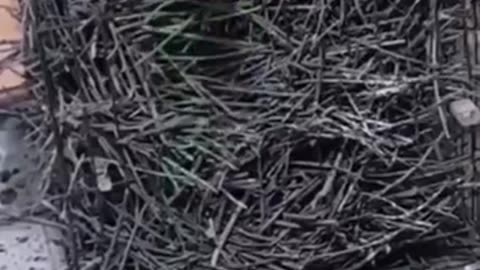 How to get a house in 2025.