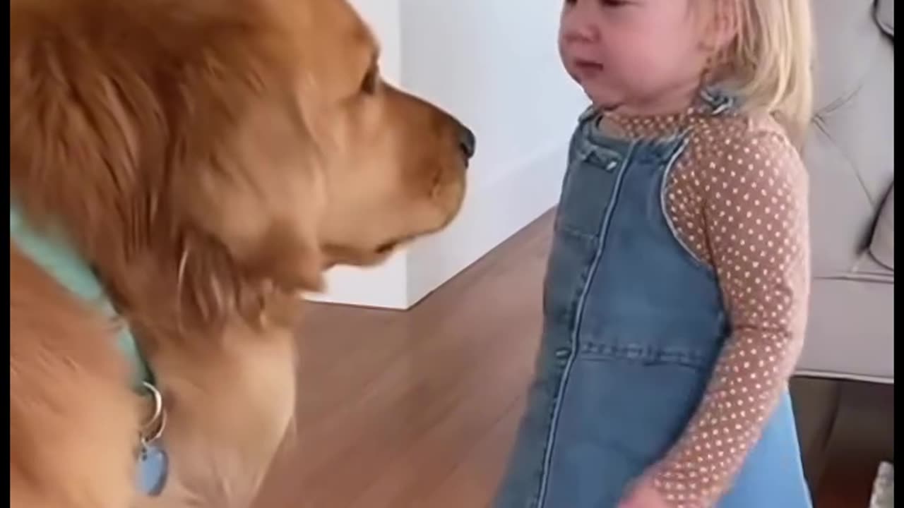 This moment captures a seemingly serious conversation shared by the dog and the little girl.