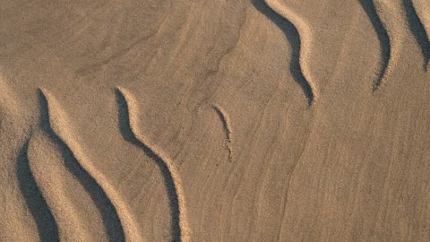 Beach Sand by Jeremy Bishop : 4K Screensaver for TV Frame