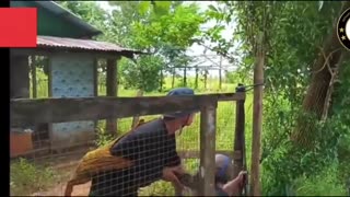 🌿💥 Myanmar War | Tharrawaddy Battalion Ambushes Junta Troops | RCF