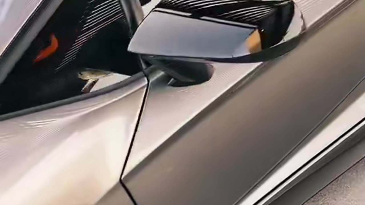 🏎️💨 This Bugatti's 0-60 in 2.1 Seconds LOOKS like this! | LuxurySportsCars