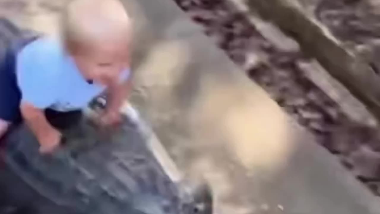 Baby’s Cutest Playtime with Cat 🐱👶 | Adorable Moments"