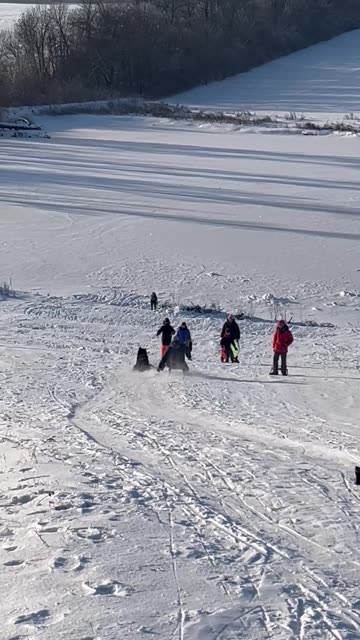 Dog Slides on His Own Sled
