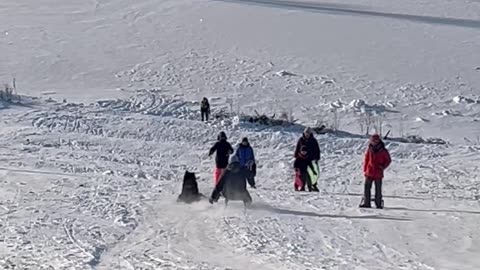 Dog Slides on His Own Sled