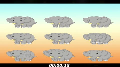 Elephants puzzle: How many elephants have here? You got this, keep counting