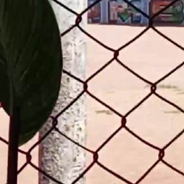 ASESINATO DE POLICÍA EN ZAMBRANO