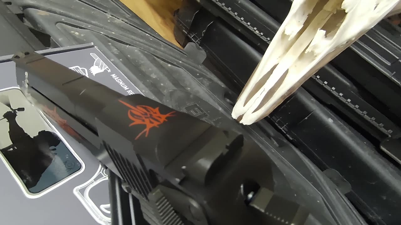 S.T.A.D'S Team Leader Has A New Airsoft Hand Cannon. The CYBERGUN DE.50AE