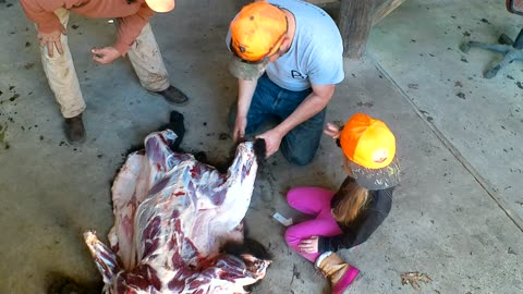 Christmas Eve 2025 Bear Hunt - Processing the bear