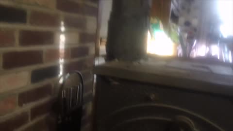 Apocalypse Chronicles