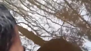 Look Sasha! We Are Saved!