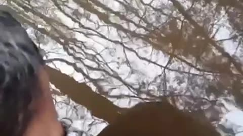 Look Sasha! We Are Saved!