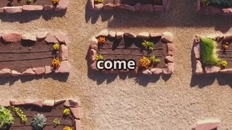 Easy Homestead Hacks You’ll Wish You Knew Sooner 🛠️
