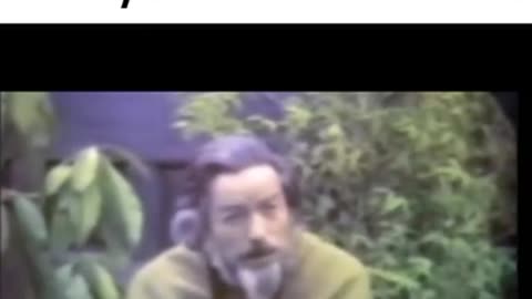 Alan Watts Incredible Wisdom!