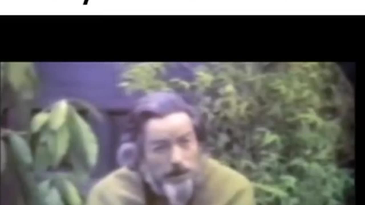 Alan Watts Incredible Wisdom!