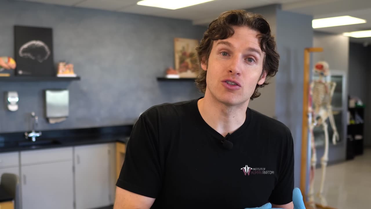 Institute of Human Anatomy - What Vaping Does to the Body