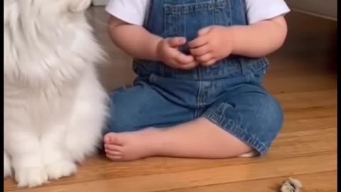 Cute Baby Playing with Animals | Adorable Baby and Pet Moments 2025
