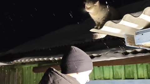 Man Gives His Cat a Shoulder Ride