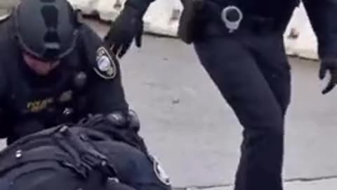 DHS officers arrested a furry who was obstructing traffic at a federal facility in